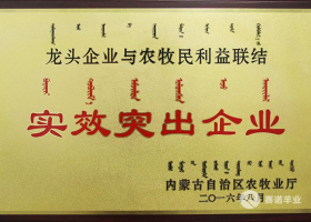 龍頭企業(yè)與農(nóng)牧民利益聯(lián)結(jié)實(shí)效突出企業(yè)